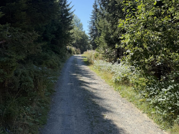 Na prodaju kompletno opremljena vikendica u naselju Treska + plac od 3 ara
